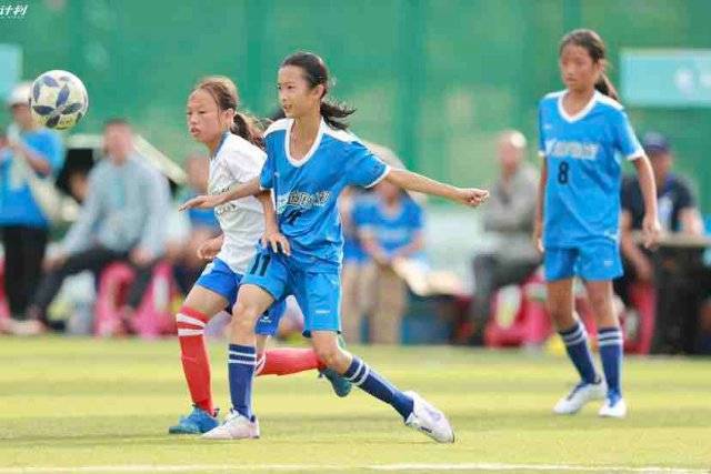 乔尔杰维奇谈弃用大王：胡金秋更适合这场比赛